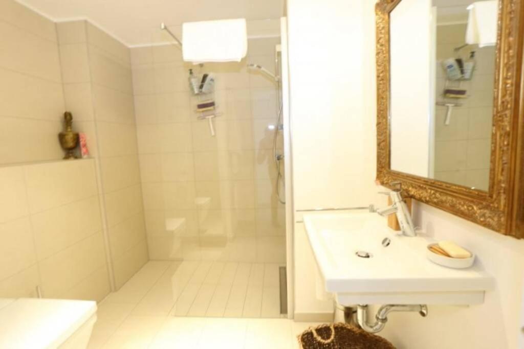 Large Family Retro Flat In City Center- Large Terrace & Garden View, Free Parking Λουξεμβούργο Εξωτερικό φωτογραφία