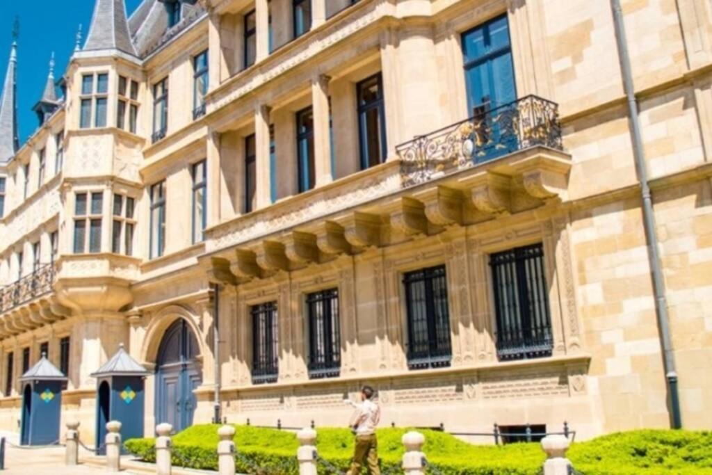 Large Family Retro Flat In City Center- Large Terrace & Garden View, Free Parking Λουξεμβούργο Εξωτερικό φωτογραφία
